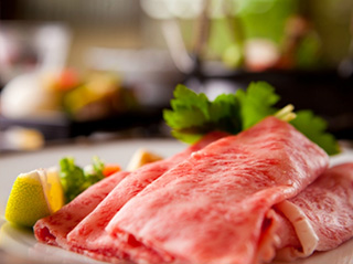 公式限定プラン