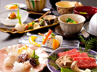 公式限定プラン